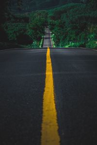 Surface level of road against trees