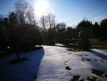 Scenic view of trees against sky during winter