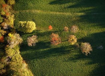 High angle view of grassy field