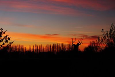 Silhouette trees on landscape against orange sky