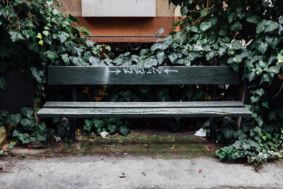 Empty bench by plants in park