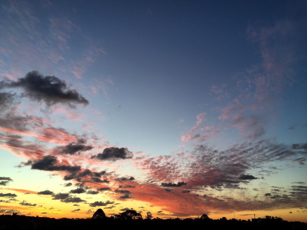 SILHOUETTE OF TREES ON LANDSCAPE