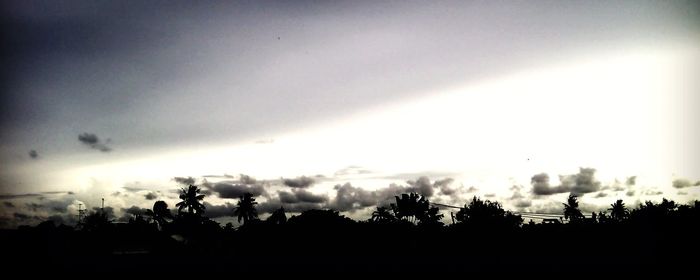 Silhouette trees on field against sky during sunset