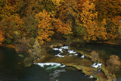 Aerial view of the autumn on the mrežnica river, croatia