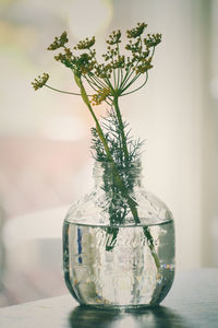 Close-up of flower vase on table