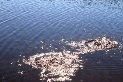 High angle view of rippled water