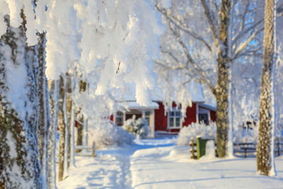 Snow covered houses by trees and buildings