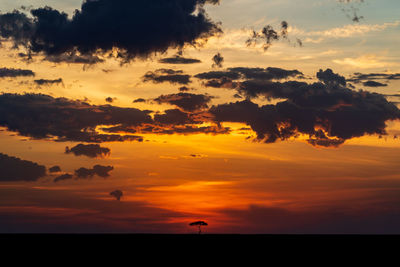 Scenic view of sunset sky and a tree