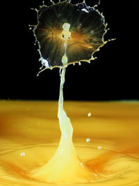 Close-up of fire over black background