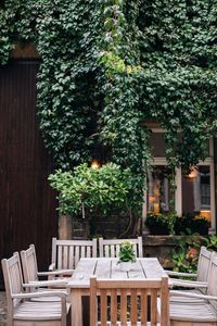 Potted plant on table