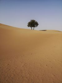 Scenic view of desert against clear sky