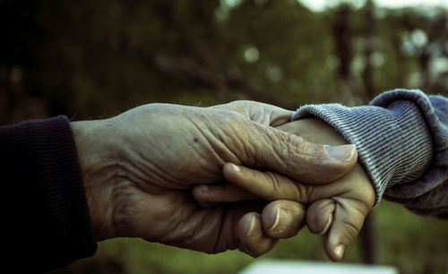 Cropped image of person holding baby hand