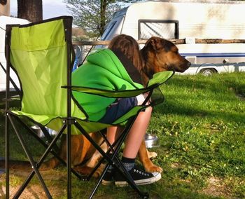 Dog relaxing on grass