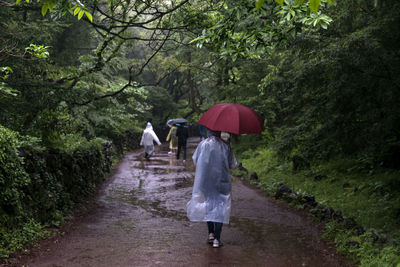 Rear view of people walking with umbrella on footpath during rainy season at bijarim forest