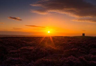 Scenic view of landscape against sky during sunset