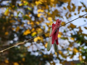 Low angle shot of a clothesline with two clothespins