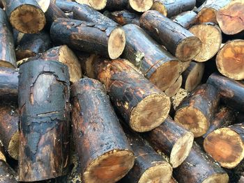 Full frame shot of logs