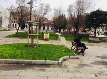 View of cemetery