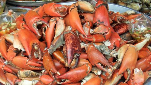 High angle view of crab for sale at market stall