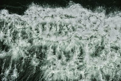 Reflection of trees in water