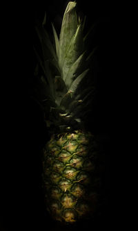 Close-up of fruit against black background