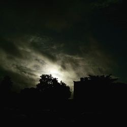 Low angle view of trees against sky