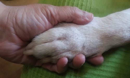 Cropped image of hand with baby