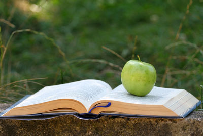 Directly above shot of apple and book on table