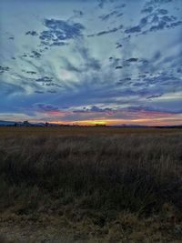 Scenic view of field against sky during sunset