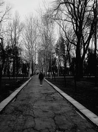 Rear view of silhouette people walking on footpath in park