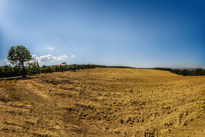 View of field against sky