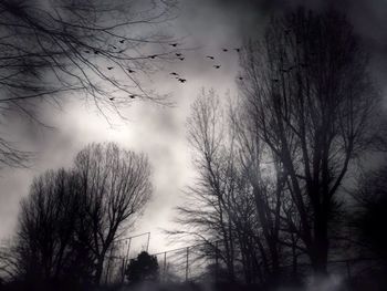 Silhouette of bare tree against cloudy sky