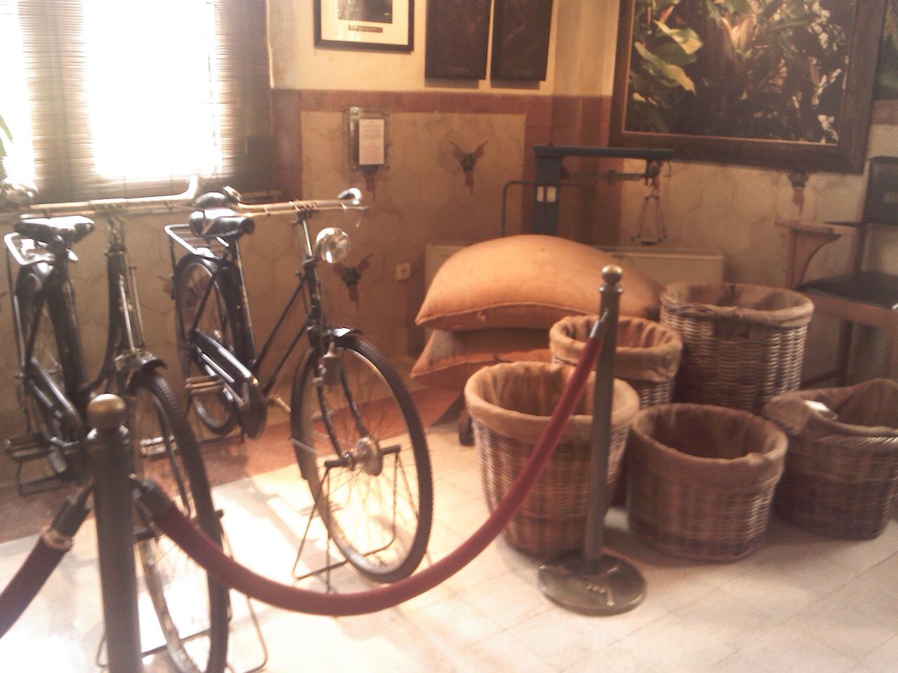 BICYCLE IN ROOM