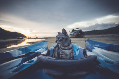 View of a boat in sea at sunset