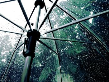 Low angle view of raindrops on tree