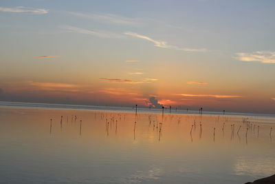 Scenic view of calm sea at sunset