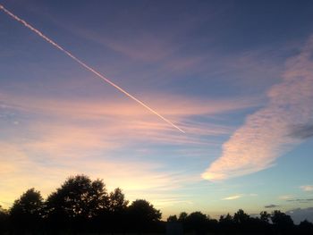 Low angle view of silhouette trees against sky at sunset