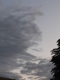 Low angle view of silhouette trees against sky