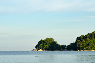 Scenic view of sea and trees against sky