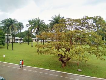 People walking on road by palm trees against sky