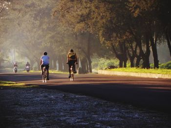 Rear view of people riding bicycles on road against trees in park