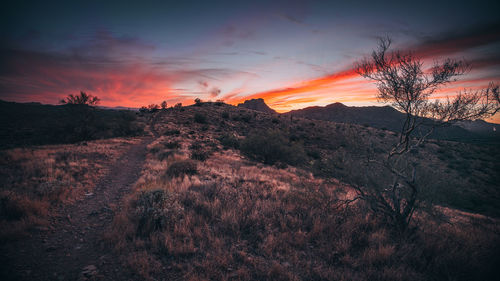 Scenic view of landscape against sky during sunset