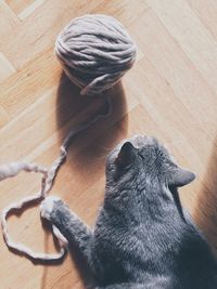 High angle view of a cat playing with yarns 