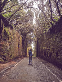 Rear view of man walking on footpath amidst trees