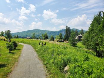 Panoramic shot of road amidst trees on field against sky