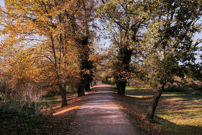 Rear view of man walking on road