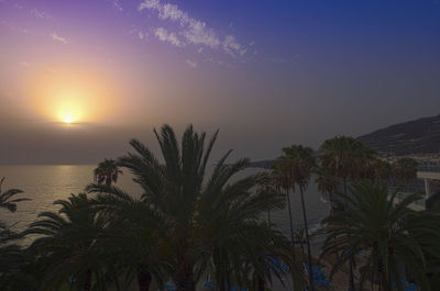 Silhouette palm trees against sky during sunset