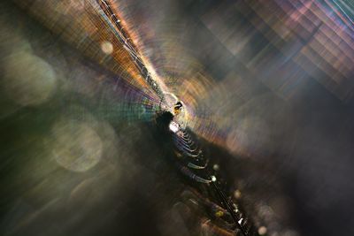 Close-up of water