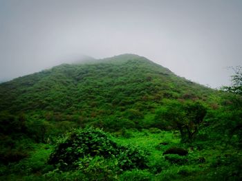 Scenic view of mountains