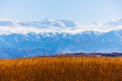 Scenic view of snowcapped mountains against clear sky